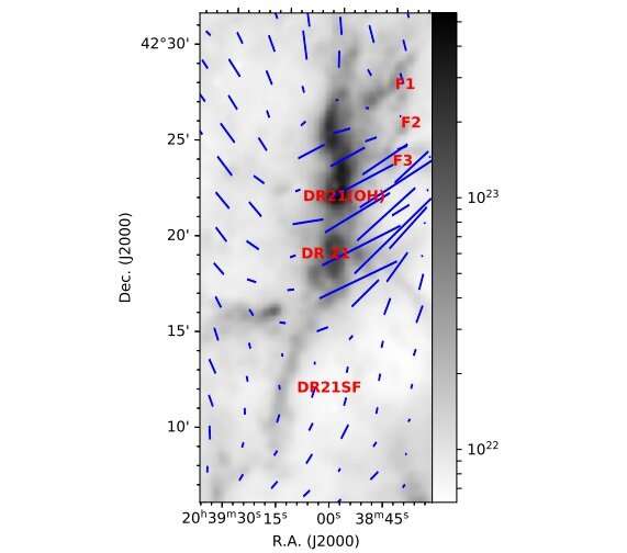 Study explores a unique filament of the Cygnus X complex