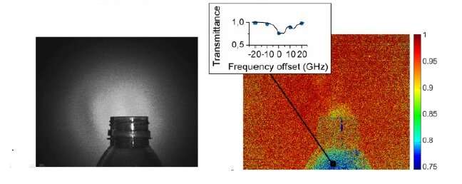 Researchers combine advanced spectroscopy technique with video-rate imaging