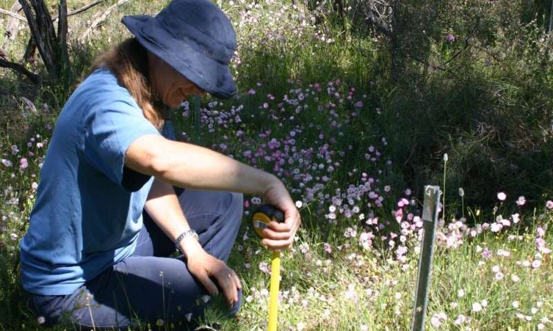 Australia-first research reveals staggering loss of threatened plants over 20 years