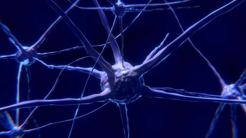 Faulty metabolism of Parkinson's medication in the brain linked to severe side effects thumbnail