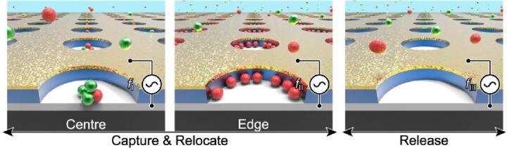 KIST develops &quot;dielectrophoretic tweezer&quot; technology for toxic nanoparticles