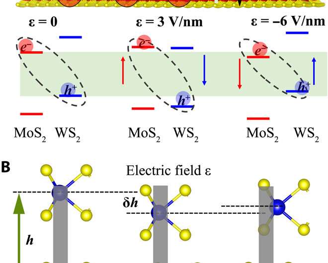 Shedding light on moiré excitons: A first-principles perspective