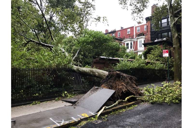 Tropic storm Isaias whips up eastern US, killing at least 6