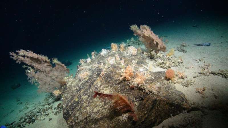 Scientists call for decade of concerted effort to enhance understanding of the deep seas