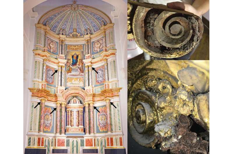 19th-century bee cells in a Panamanian cathedral shed light on human impact on ecosystems