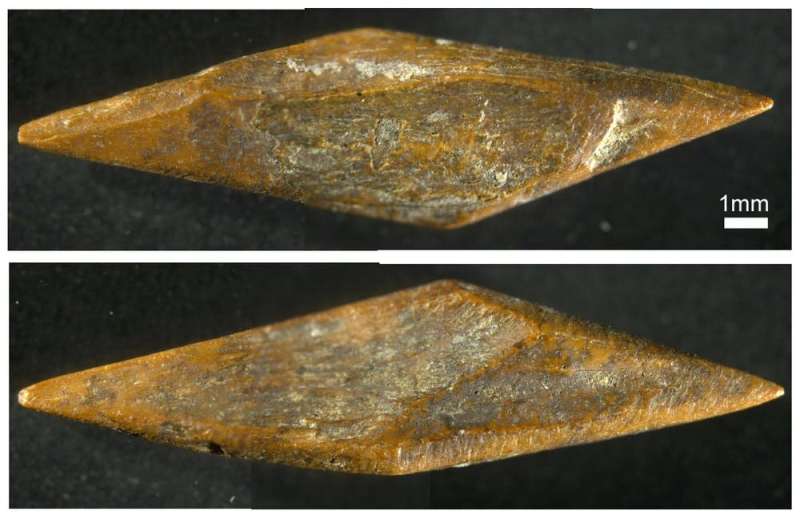 48,000-year-old arrowheads reveal early human innovation in the Sri Lankan rainforest