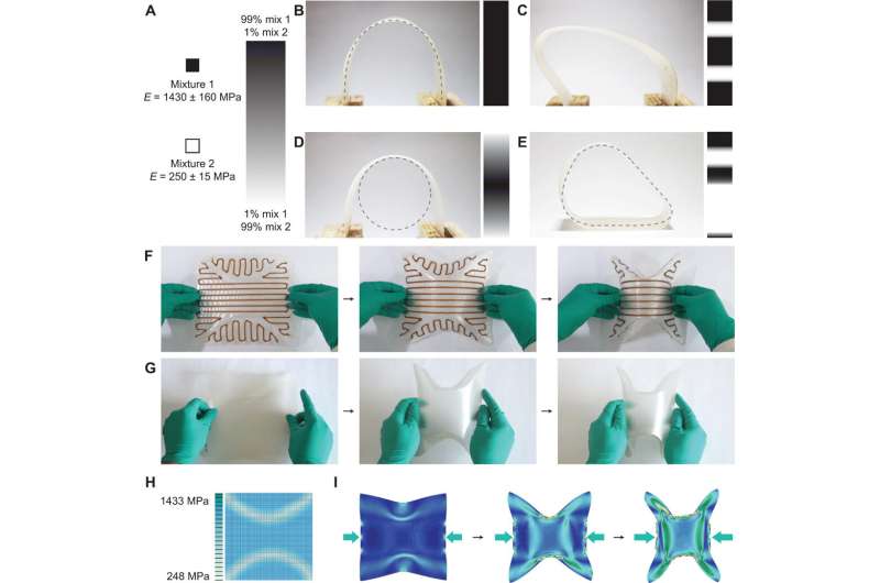Additive manufacturing of cellulose-based materials with continuous, multidirectional stiffness gradients