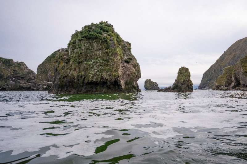 A Greenpeace handout photo shows the water near the Khalaktyr beach on the Kamchatka peninsula