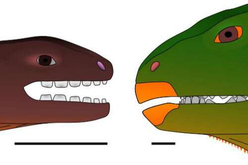 Ancient North American reptiles lived on an island archipelago in South Wales
