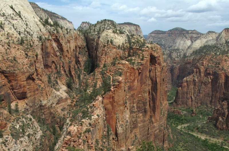 Appeals grow to close US national parks during pandemic