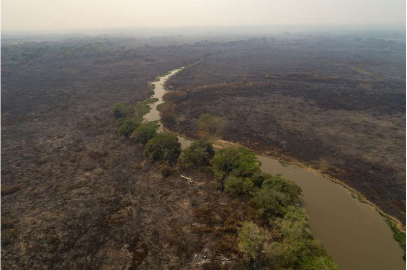 Battle on to save Brazil's tropical wetlands from flames