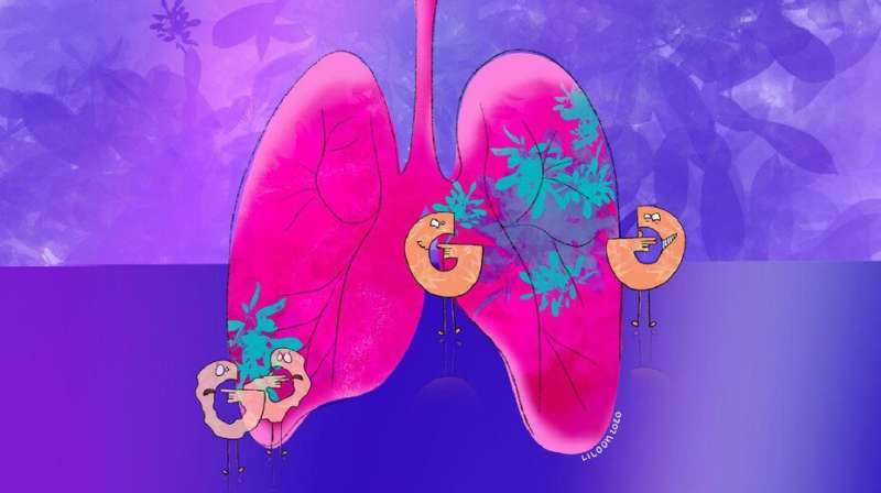 Blocking sugar metabolism slows lung tumour growth