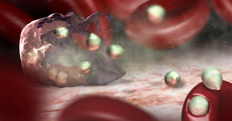 Blood test a potential new tool for controlling infections