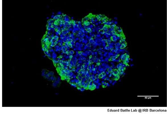 Cancer research breakthrough as DNA behavior is uncovered in 3D models