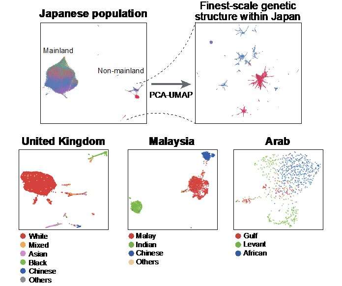 Celebrating our genomic diversity: Fine-scale differences in the Japanese population