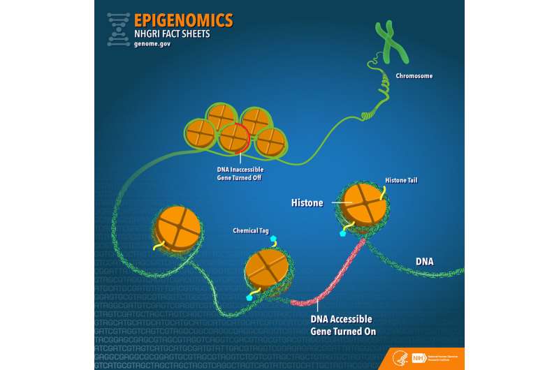 Comprehensive catalogue of the molecular elements that regulate genes