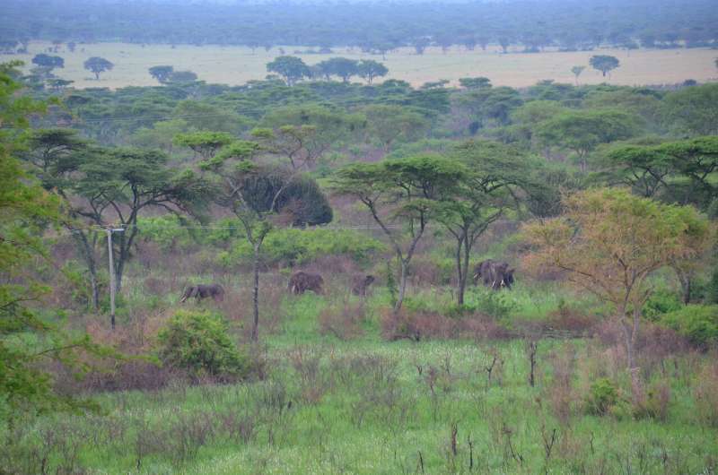 Conservation goals may be stymied by a lack of land for biodiversity offsetting