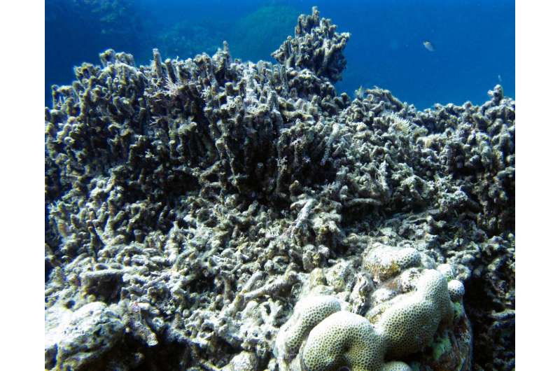 Cyclones can damage even distant reefs