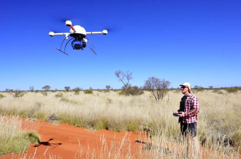 Ecologists confirm Alan Turing's theory for Australian fairy circles