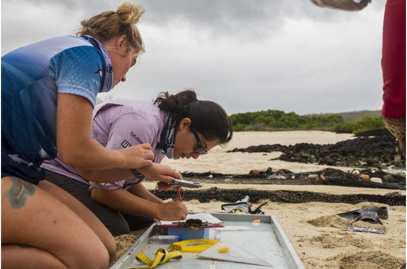 Galapagos guides to 'barcode' wildlife
