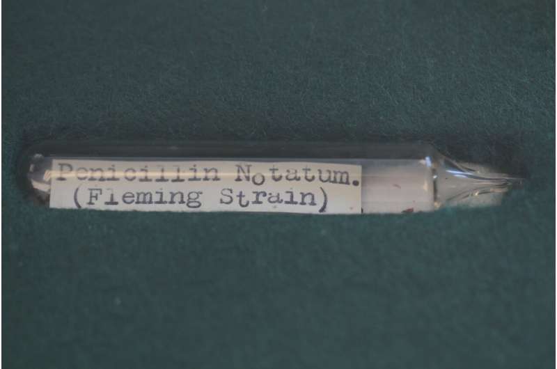 Genome of Alexander Fleming's original penicillin-producing mould sequenced