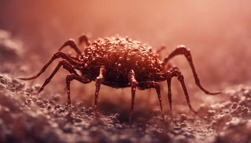 How do viruses mutate and jump species?