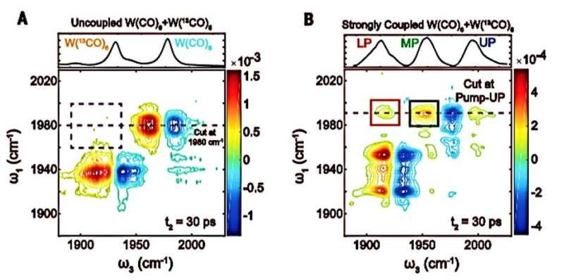 Intermolecular vibrational energy transfer via microcavity strong light–matter coupling