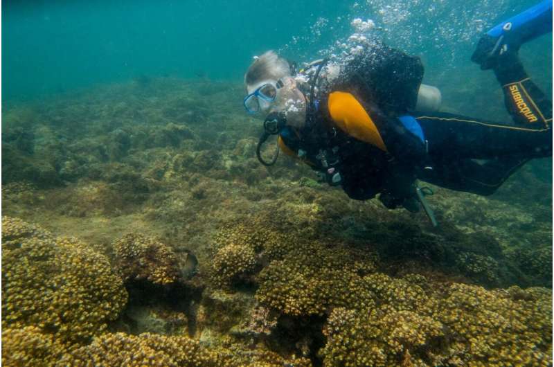 Invasive lionfish may be a selective predator