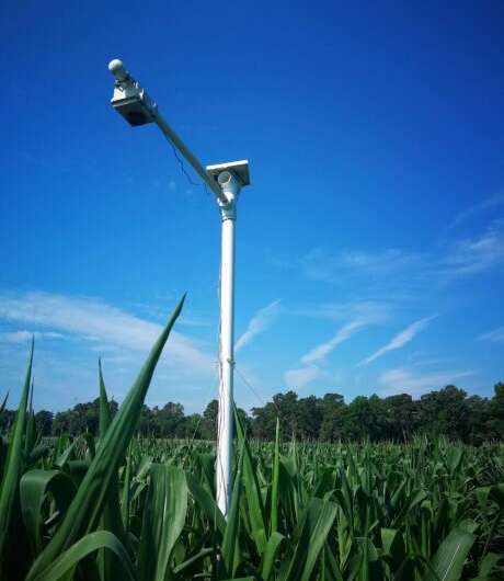 Low-cost cameras could be sensors to remotely monitor crop stress