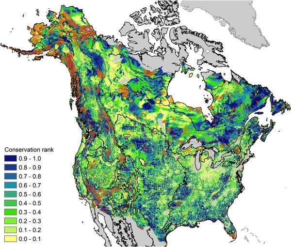 Mapping key areas for conservation could help plants and animals survive climate change