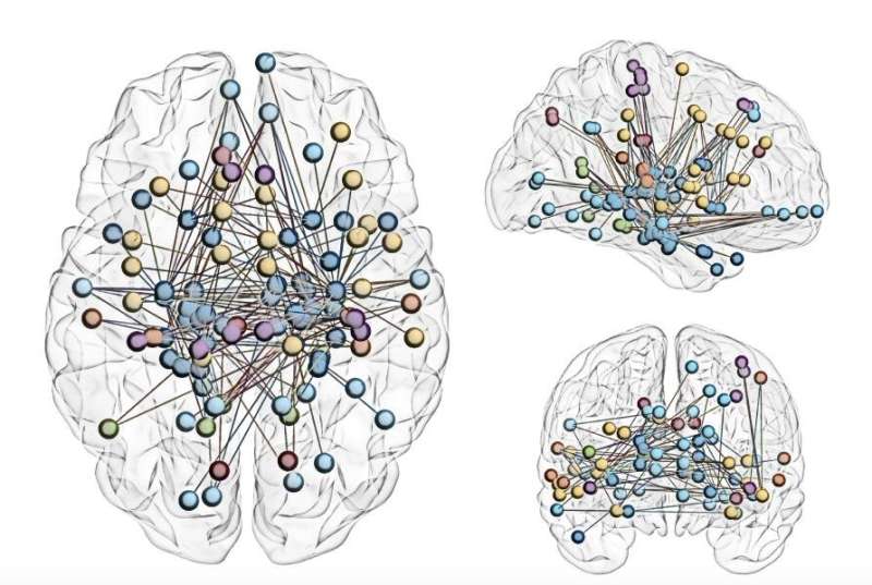 Mapping the subcortex, the most ancient part of the brain
