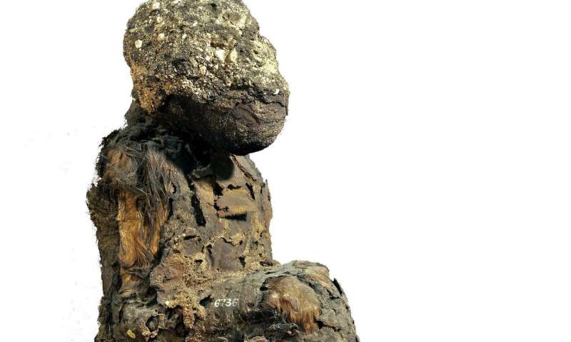 Mummified baboons shine new light on the lost land of Punt