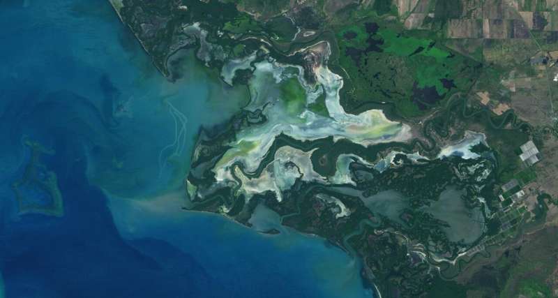 NASA study maps the roots of global mangrove loss