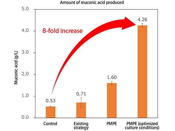New metabolic engineering strategy for effective sugar utilization by microbes successfully improves bioproduction of polymer ra