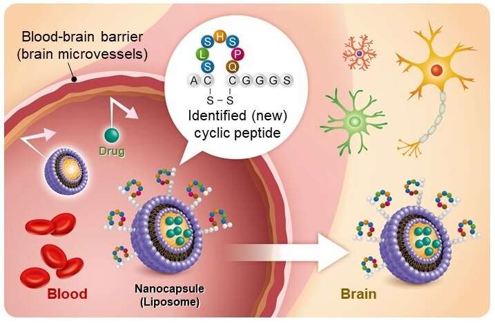 New nanocarrier drug delivery technology crosses the blood-brain barrier