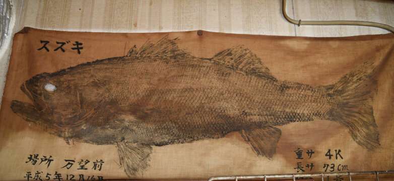 On the edge between science and art: Historical biodiversity data from Japanese 'gyotaku'