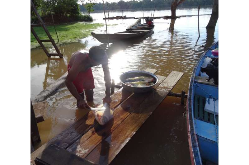Poor Amazonians go hungry despite living in one of the most biodiverse places on Earth