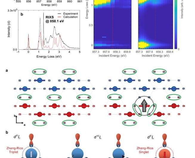 Quantum exciton found in magnetic van der Waals material NiPS3