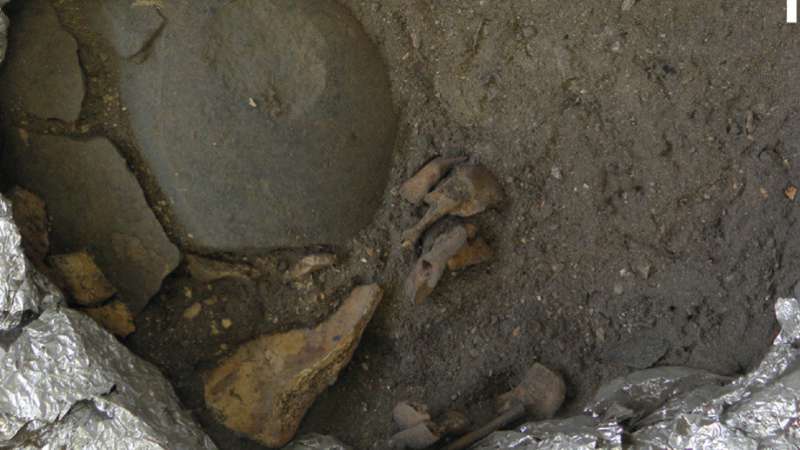 Rare 8,000 year old child burial reveals secrets of the dead