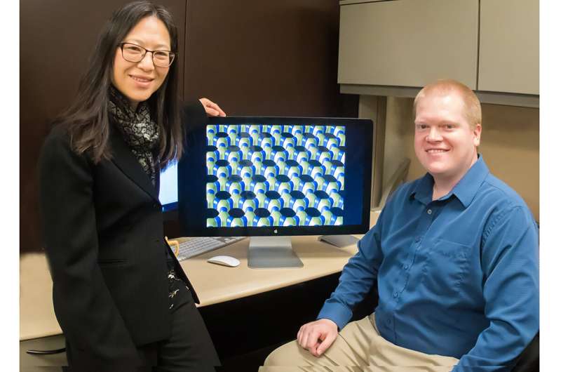 Researchers gain control over internal structure of self-assembled composite materials