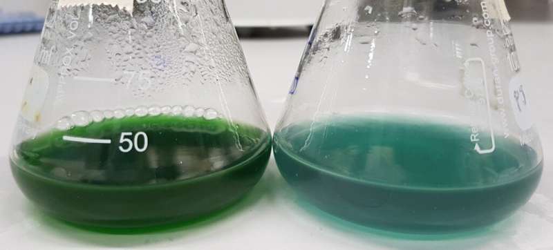 Scientists find new way to sustainably make chemicals by copying nature's tricks