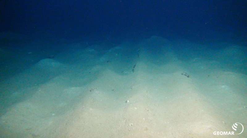 Simulated deep-sea mining affects ecosystem functions at the seafloor