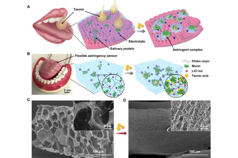 Soft and ion-conducting hydrogel artificial tongue for astringency perception