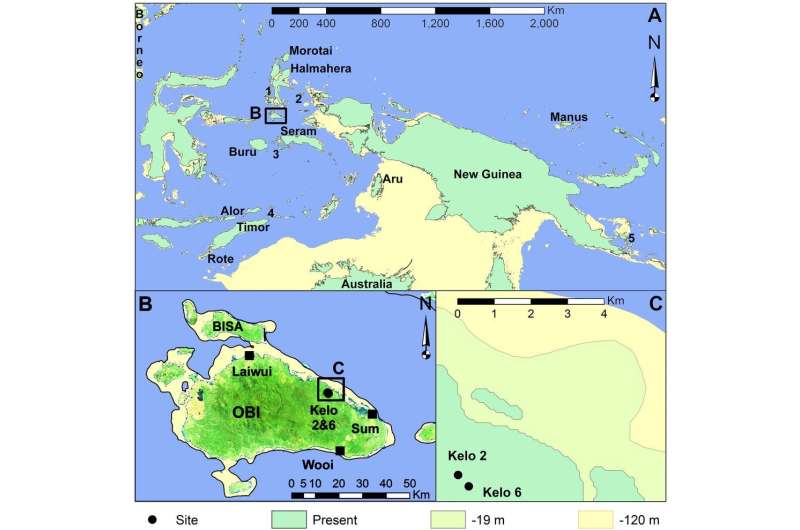 Stone tools reveal how island-hopping humans made a living