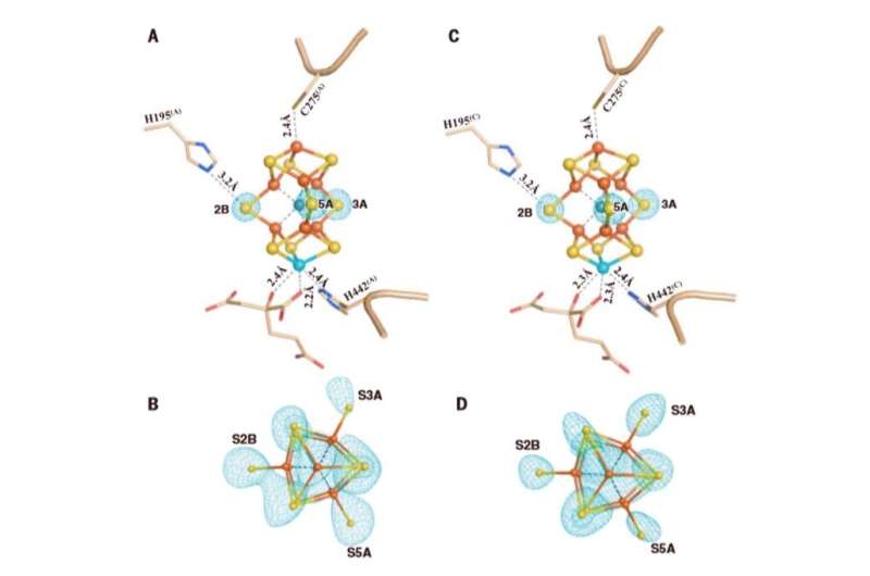Structural evidence for a dynamic metallocofactor during dinitrogen reduction by Mo-nitrogenase