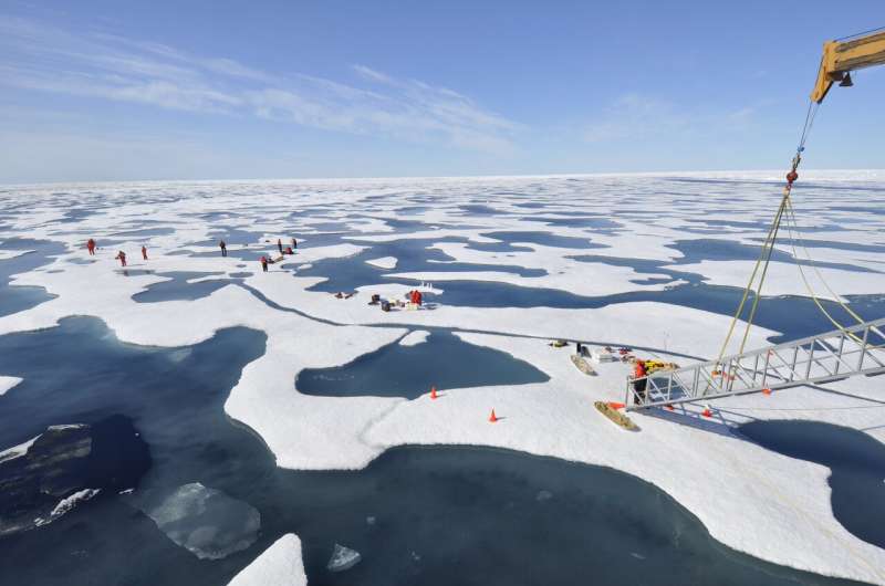 Synthesis study demonstrates phytoplankton can bloom below Arctic sea ice