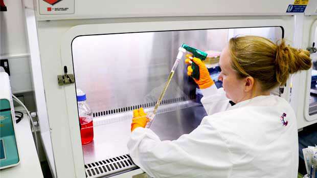 The making of a living ovarian cancer biobank