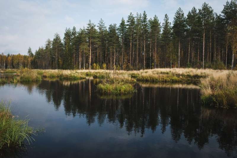 The success of the rewilding effort has led to the process being repeated at a further 23 degraded peatland sites across Finland