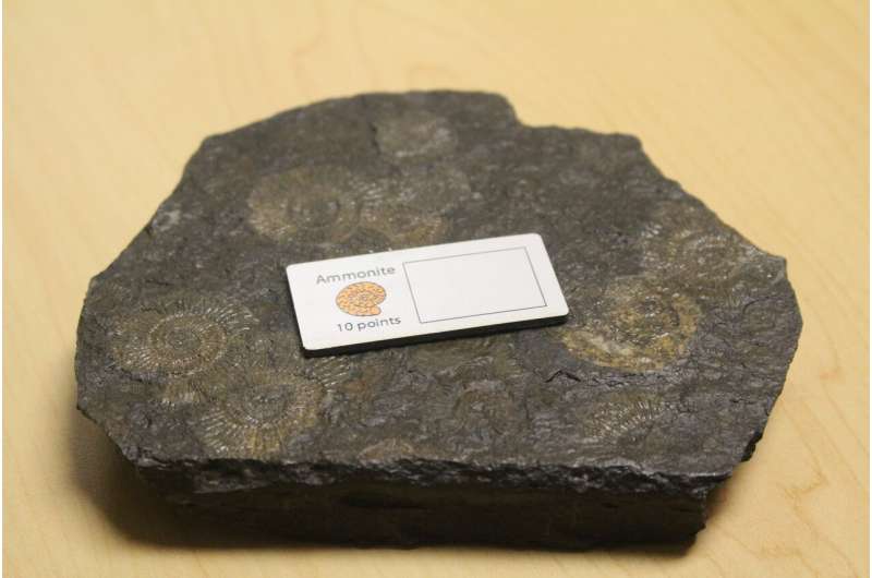 UT scientists' fossil-finding board game is a success in classrooms