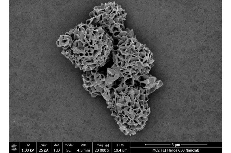 World’s most complex microparticle: A synthetic that outdoes nature’s intricacy